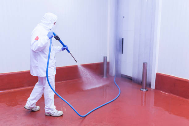 Best Parking Lot Cleaning in Converse, IN