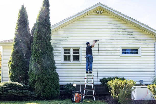 Best Roof Cleaning and Mildew Removal in Converse, IN